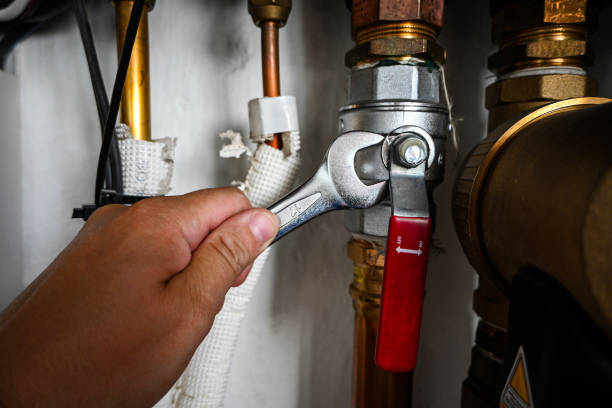 Best Shower Repair Services  in Montgomery, IL